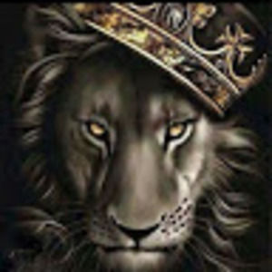 Meet your Posher, Beatzlikedis